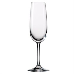 Glass Champagne Flute 7.5oz (Box 6) G1015F07