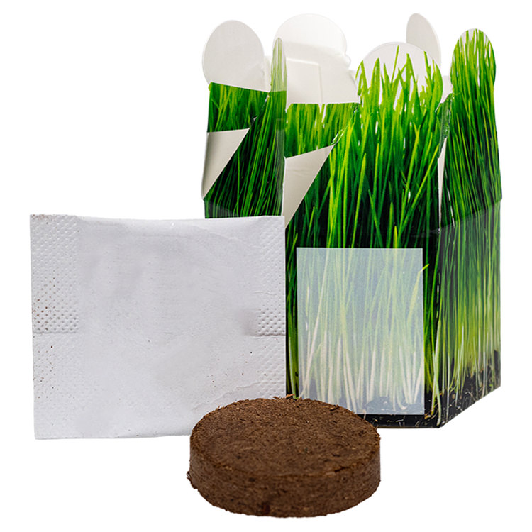 Sample Product