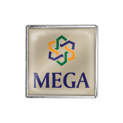 Silver brass lapel pin with a branded imprint.