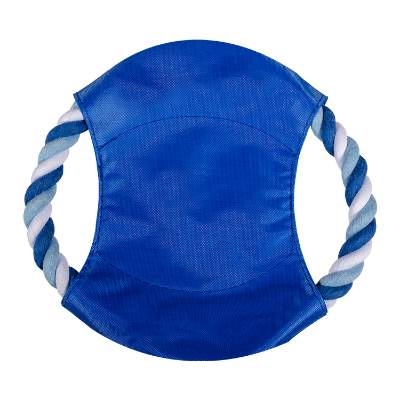Blue fetch it dog toy blank.