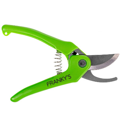 Green plastic personalized garden shears.