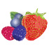 SPF 15 Wildberry