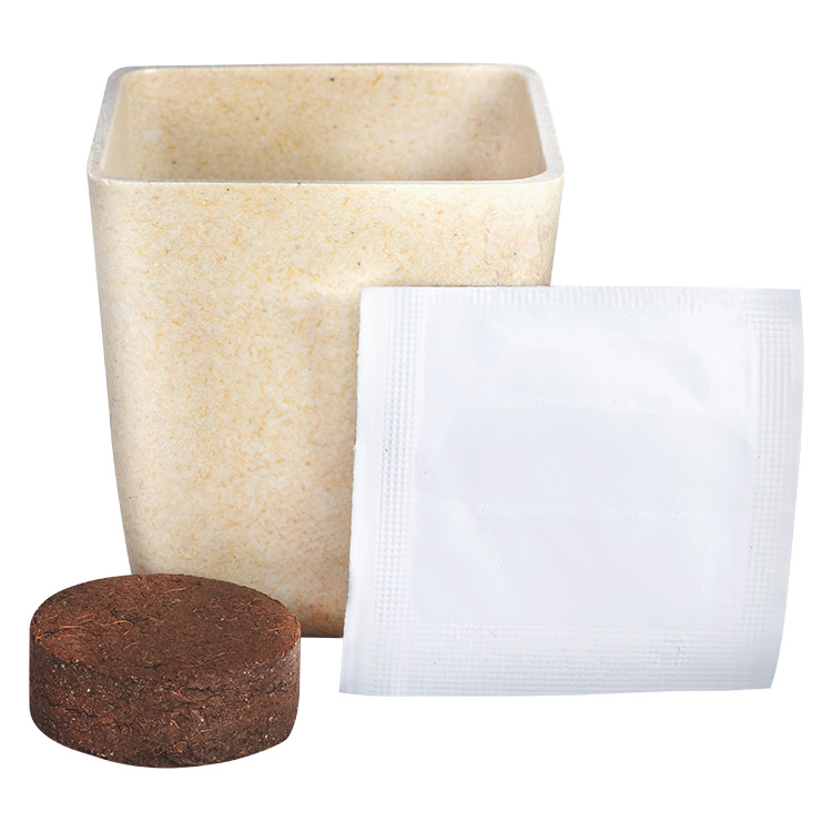 Sample Product