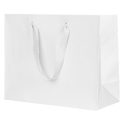 Paper silver matte recyclable eurotote bag blank.