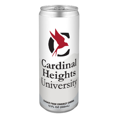 Silver aluminum drink can with a branded logo.