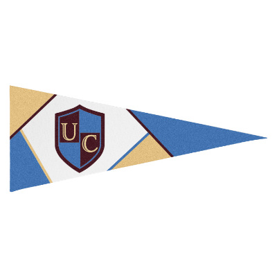 White felt pennant flag with a custom imprint.