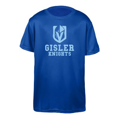 Royal blue youth performance t-shirt.