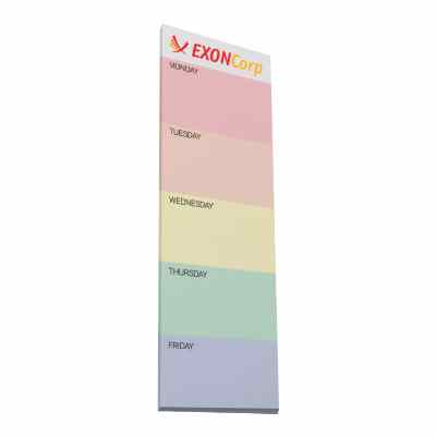 Souvenir 3x9 inch scratch pad with full color imprint.