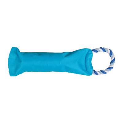 Blue crunch it dog toy blank.
