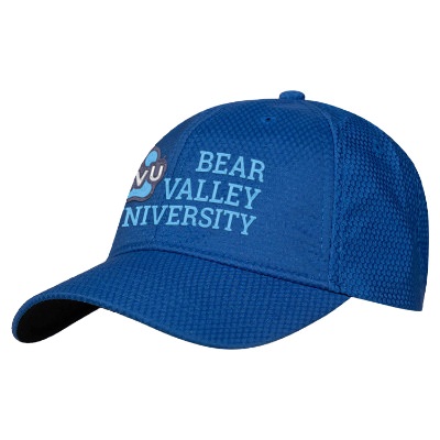 Royal Embroidered Custom Cap