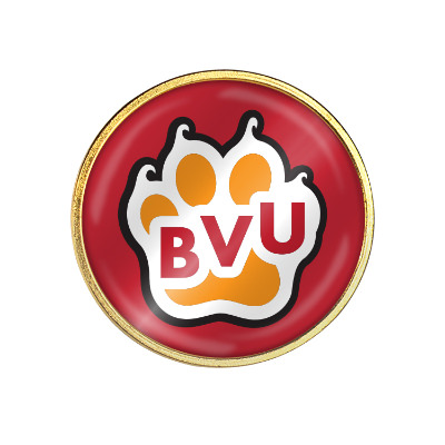 Brass lapel pin with a custom logo.