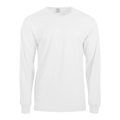 Blank white long sleeve t-shirt.
