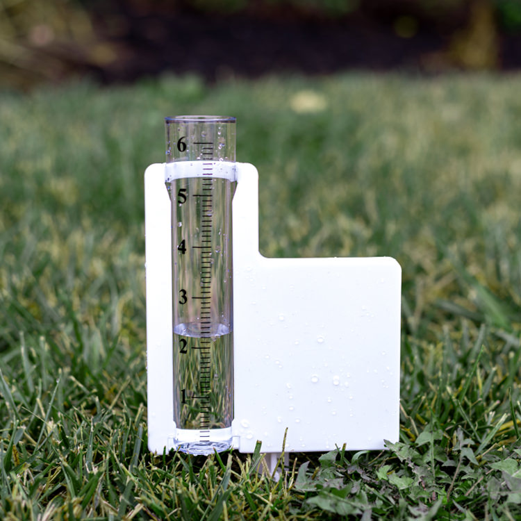 Sample Product