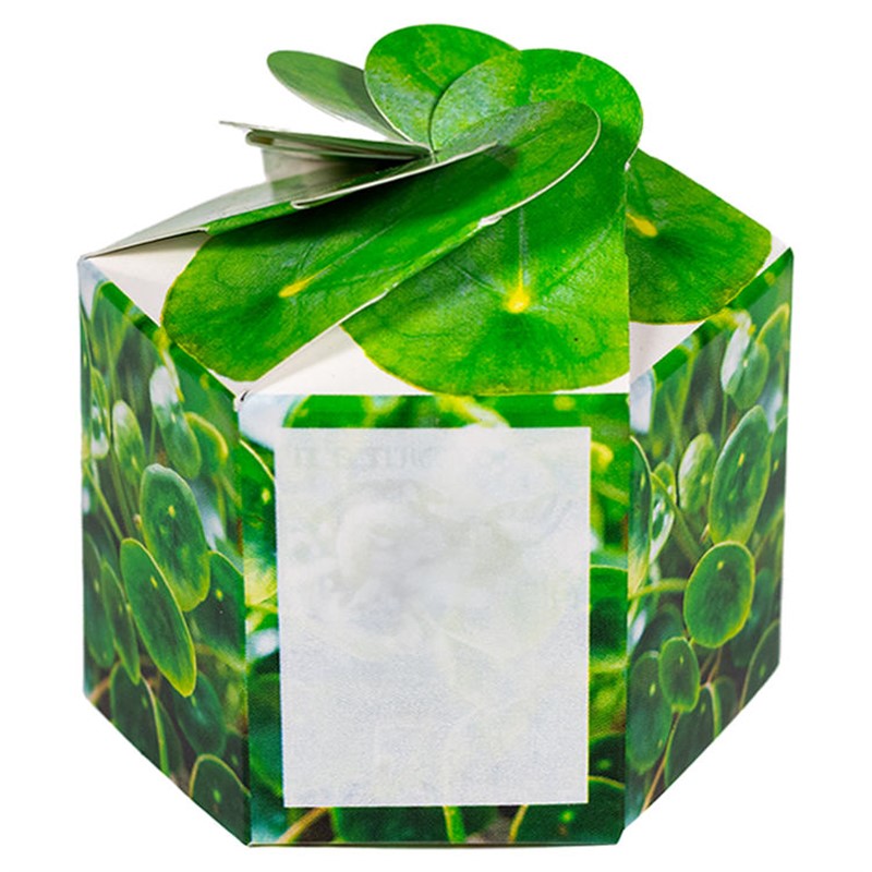 Sample Product