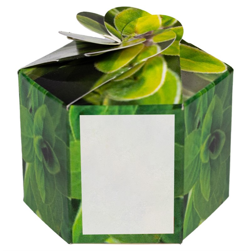 Sample Product