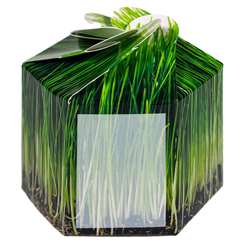 Sample Product