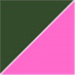 Dark Green with Transparent Pink