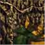 Mossy Oak New Break Up