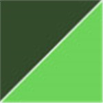 Dark Green with Transparent Green