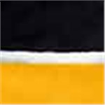 Black with Gold and White