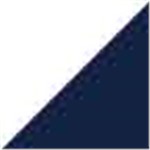 White with Navy