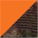 Orange Blaze with Realtree Xtra