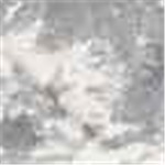 Gray and White