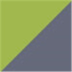 Lime Green with Dark Grey