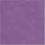 Purple Rain Heather