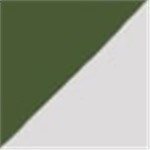 Forest Green with White Trim