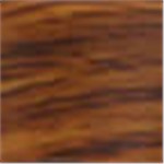 Dark Wood