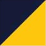 Navy and Gold