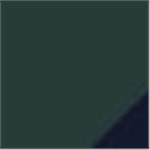 Dark Green with Navy Blue Inner Neckband