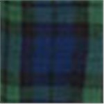 Forest Green with Team Navy Black Watch Plaid
