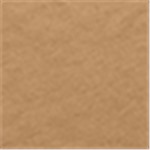 Vintage Coyote Brown