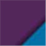 Dark Purple with Blue Ink