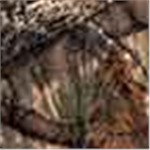 Mossy Oak Break Up Country