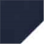 Nautica Navy with White