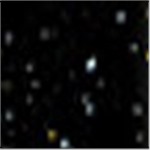 Black Speckle