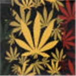 Black Large Leaf