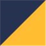 Navy Blue with Gold