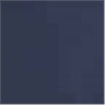 True Navy with True Navy