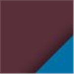 Burgundy with Blue Ink