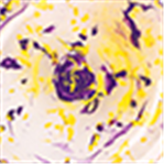 Yellow and Purple