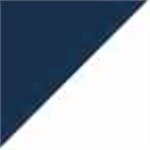 True Navy with White