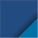 Dark Blue with Blue Ink