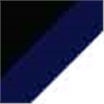 Black and Navy and White