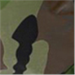 Camouflage
