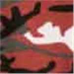 Red Camo