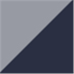 Reflective with Navy Blue Edges